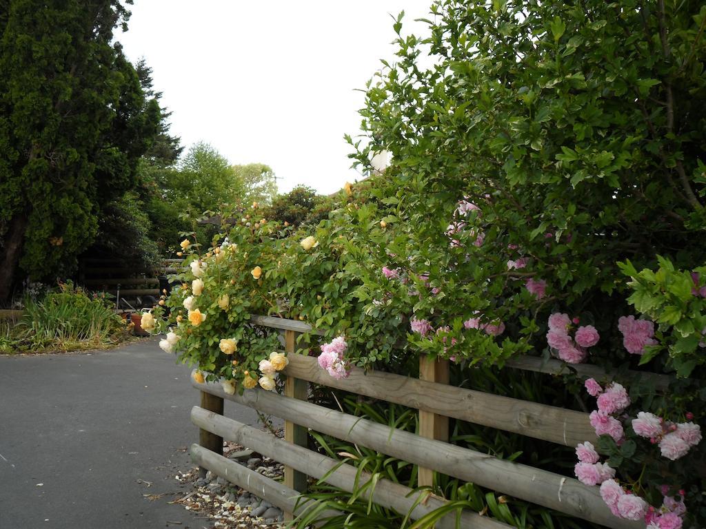 הייסטינגס Bluebell Lodge And Cottage מראה חיצוני תמונה
