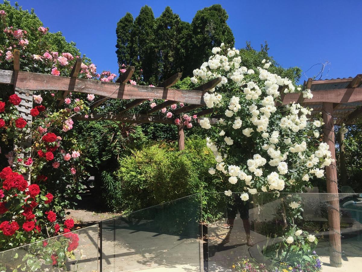 הייסטינגס Bluebell Lodge And Cottage מראה חיצוני תמונה